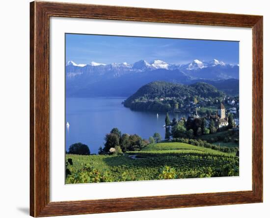 Spiez, Lake Thun, Berner Oberland, Switzerland-Peter Adams-Framed Photographic Print