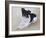 Spike, 2012-Odile Kidd-Framed Giclee Print