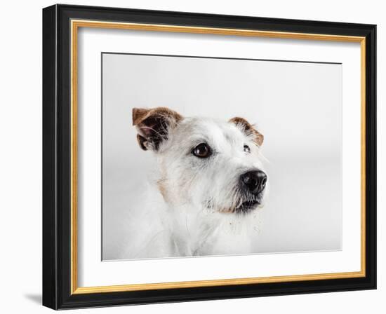 Spike Zuck-Susan Sabo-Framed Photographic Print