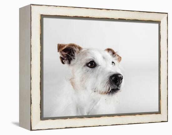 Spike Zuck-Susan Sabo-Framed Premier Image Canvas