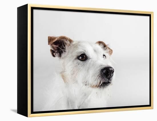 Spike Zuck-Susan Sabo-Framed Premier Image Canvas