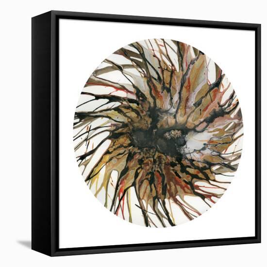 Spin Art 15-Kyle Goderwis-Framed Premier Image Canvas