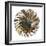 Spin Art 15-Kyle Goderwis-Framed Giclee Print