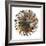 Spin Art 15-Kyle Goderwis-Framed Giclee Print