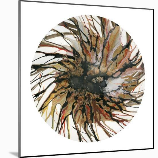 Spin Art 15-Kyle Goderwis-Mounted Giclee Print