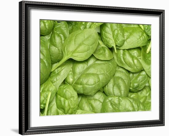 Spinach-null-Framed Photographic Print