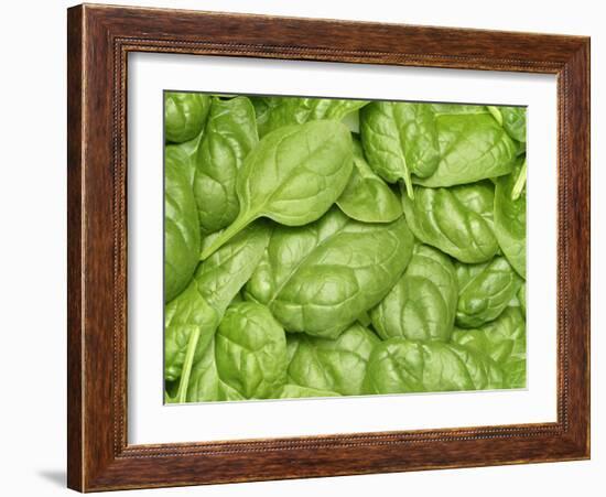 Spinach-null-Framed Photographic Print