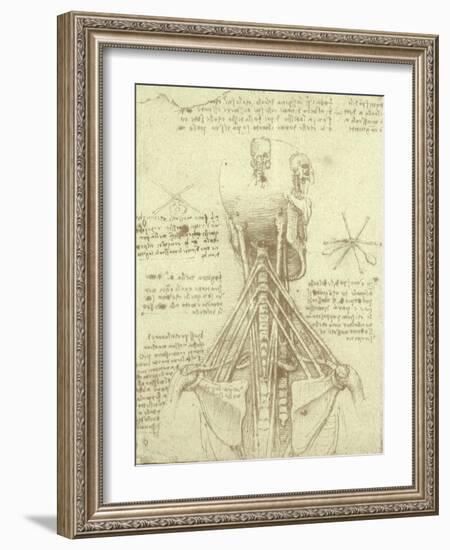 Spinal Column Study-Leonardo da Vinci-Framed Giclee Print