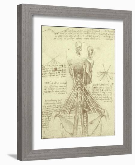 Spinal Column Study-Leonardo da Vinci-Framed Giclee Print