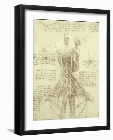 Spinal Column Study-Leonardo da Vinci-Framed Giclee Print