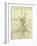 Spinal Column Study-Leonardo da Vinci-Framed Giclee Print