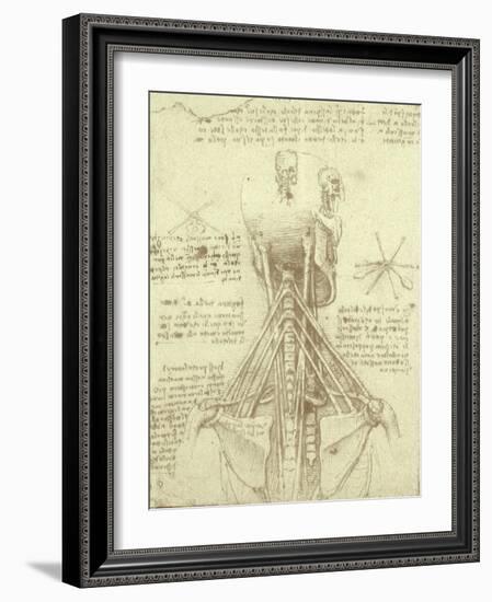 Spinal Column Study-Leonardo da Vinci-Framed Giclee Print