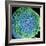 Spinal Nerve, SEM-Thomas Deerinck-Framed Premium Photographic Print