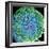 Spinal Nerve, SEM-Thomas Deerinck-Framed Premium Photographic Print