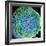 Spinal Nerve, SEM-Thomas Deerinck-Framed Premium Photographic Print