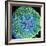 Spinal Nerve, SEM-Thomas Deerinck-Framed Premium Photographic Print