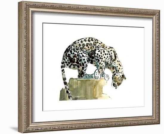 Spine (Arabian Leopard), 2015-Mark Adlington-Framed Premium Giclee Print