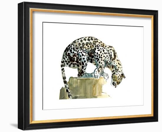 Spine (Arabian Leopard), 2015-Mark Adlington-Framed Premium Giclee Print