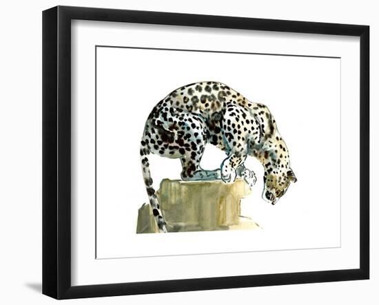 Spine (Arabian Leopard), 2015-Mark Adlington-Framed Giclee Print