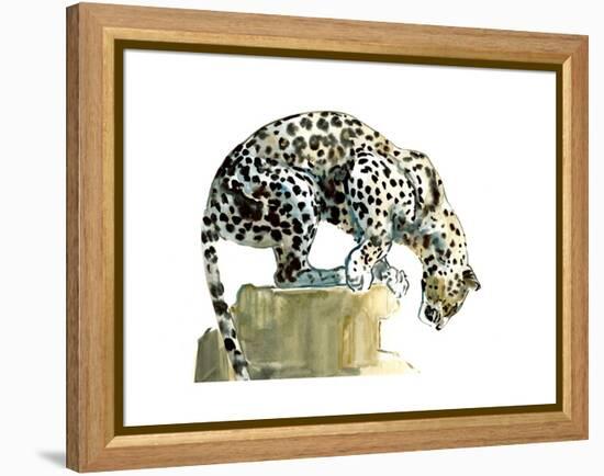 Spine (Arabian Leopard), 2015-Mark Adlington-Framed Premier Image Canvas