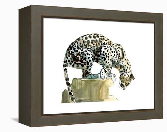 Spine (Arabian Leopard), 2015-Mark Adlington-Framed Premier Image Canvas