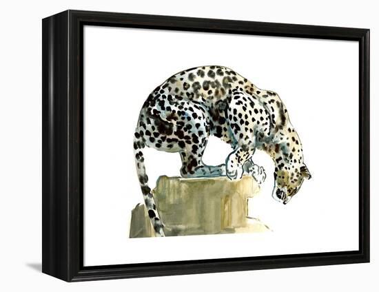 Spine (Arabian Leopard), 2015-Mark Adlington-Framed Premier Image Canvas