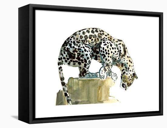 Spine (Arabian Leopard), 2015-Mark Adlington-Framed Premier Image Canvas