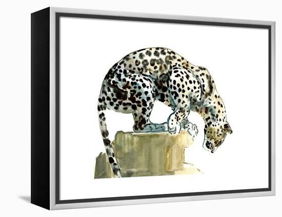 Spine (Arabian Leopard), 2015-Mark Adlington-Framed Premier Image Canvas