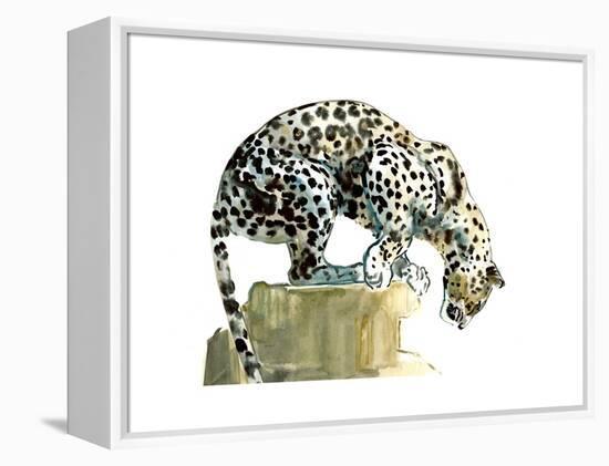 Spine (Arabian Leopard), 2015-Mark Adlington-Framed Premier Image Canvas