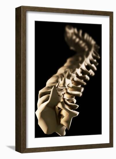 Spine, Artwork-Crown-Framed Photographic Print