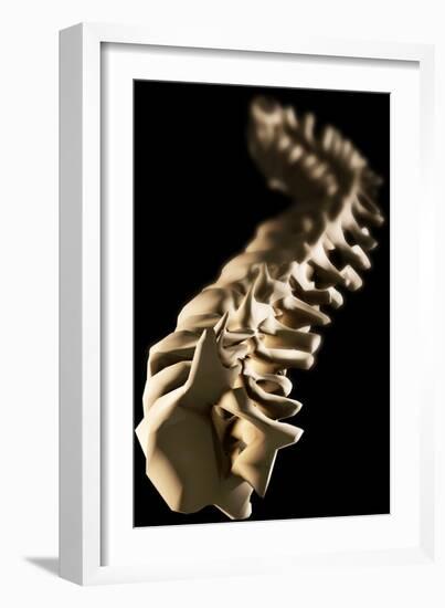 Spine, Artwork-Crown-Framed Photographic Print