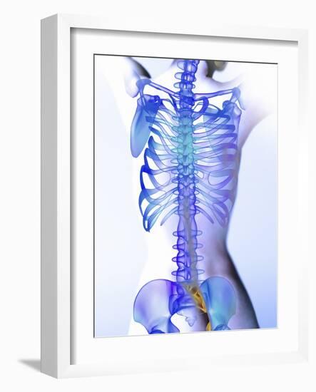 Spine, Computer Artwork-Christian Darkin-Framed Photographic Print