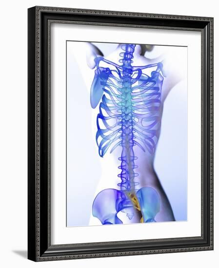 Spine, Computer Artwork-Christian Darkin-Framed Photographic Print