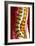 Spine Degeneration, MRI Scan-Du Cane Medical-Framed Photographic Print