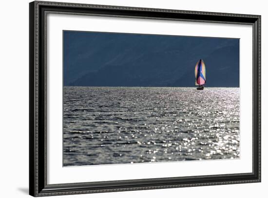 Spinnaker Sailing in British Columbia-Dave Heath-Framed Photographic Print