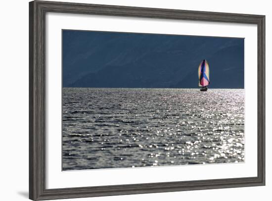 Spinnaker Sailing in British Columbia-Dave Heath-Framed Photographic Print