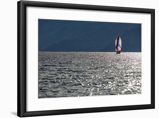 Spinnaker Sailing in British Columbia-Dave Heath-Framed Photographic Print