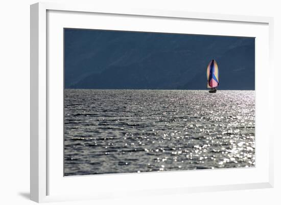 Spinnaker Sailing in British Columbia-Dave Heath-Framed Photographic Print