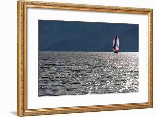 Spinnaker Sailing in British Columbia-Dave Heath-Framed Photographic Print