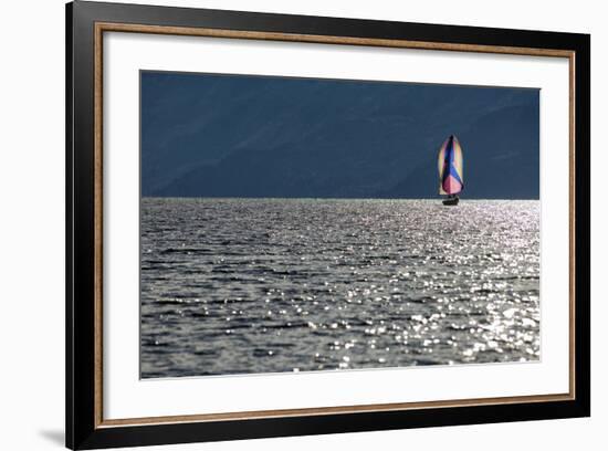 Spinnaker Sailing in British Columbia-Dave Heath-Framed Photographic Print