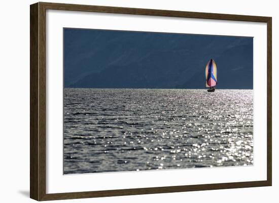 Spinnaker Sailing in British Columbia-Dave Heath-Framed Photographic Print