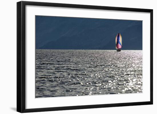 Spinnaker Sailing in British Columbia-Dave Heath-Framed Photographic Print