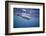 Spinner Dolphin-DLILLC-Framed Photographic Print