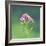 Spinney-Andreas Stridsberg-Framed Giclee Print