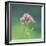 Spinney-Andreas Stridsberg-Framed Giclee Print