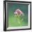 Spinney-Andreas Stridsberg-Framed Giclee Print