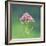 Spinney-Andreas Stridsberg-Framed Giclee Print