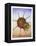 Spinning Spider-Wayne Anderson-Framed Premier Image Canvas