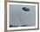 Spinning UFO over Merlin, Oregon-null-Framed Photographic Print