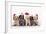 Spinone Dog Puppies Wearing Christmas Hats-null-Framed Photographic Print